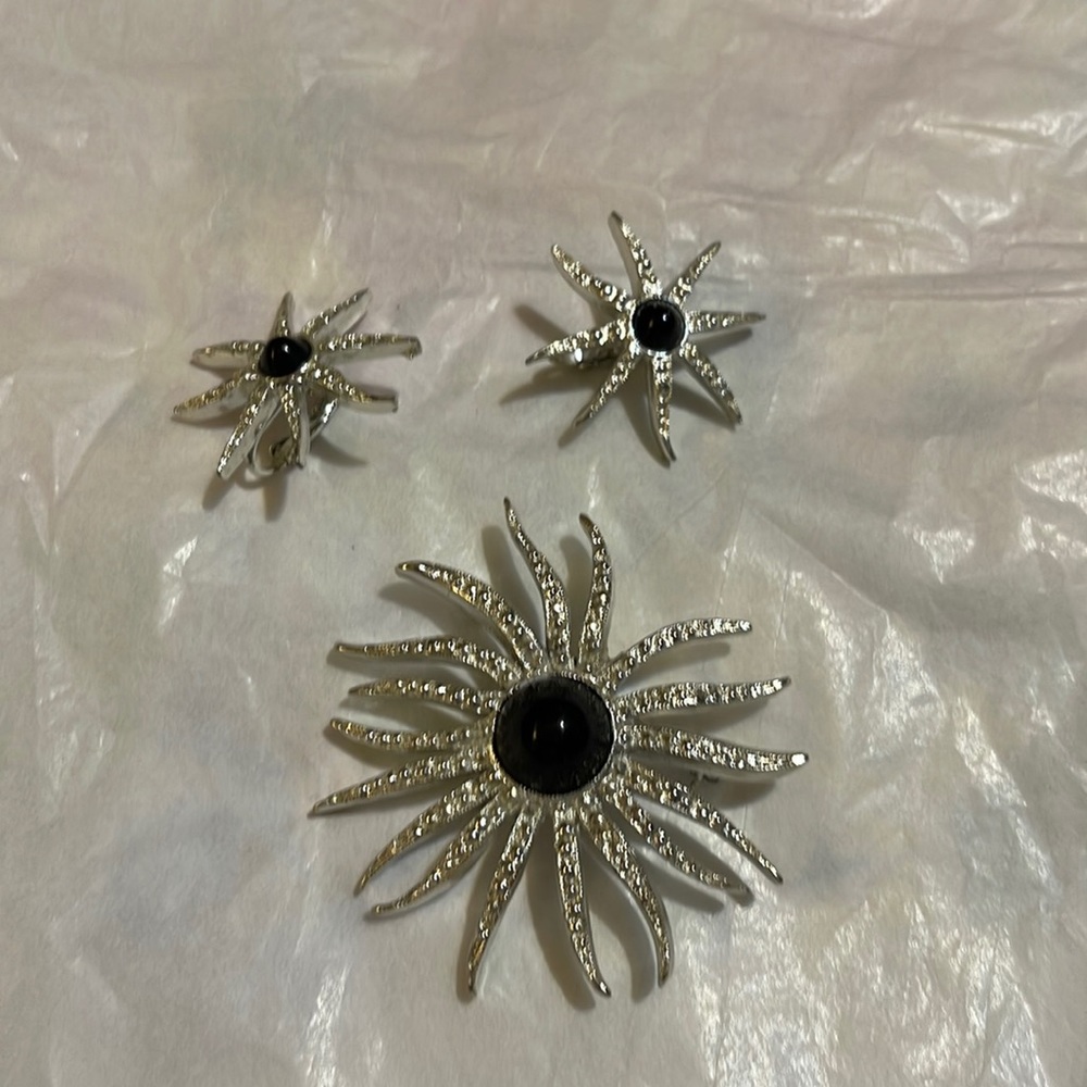Brooch w/ Earrings